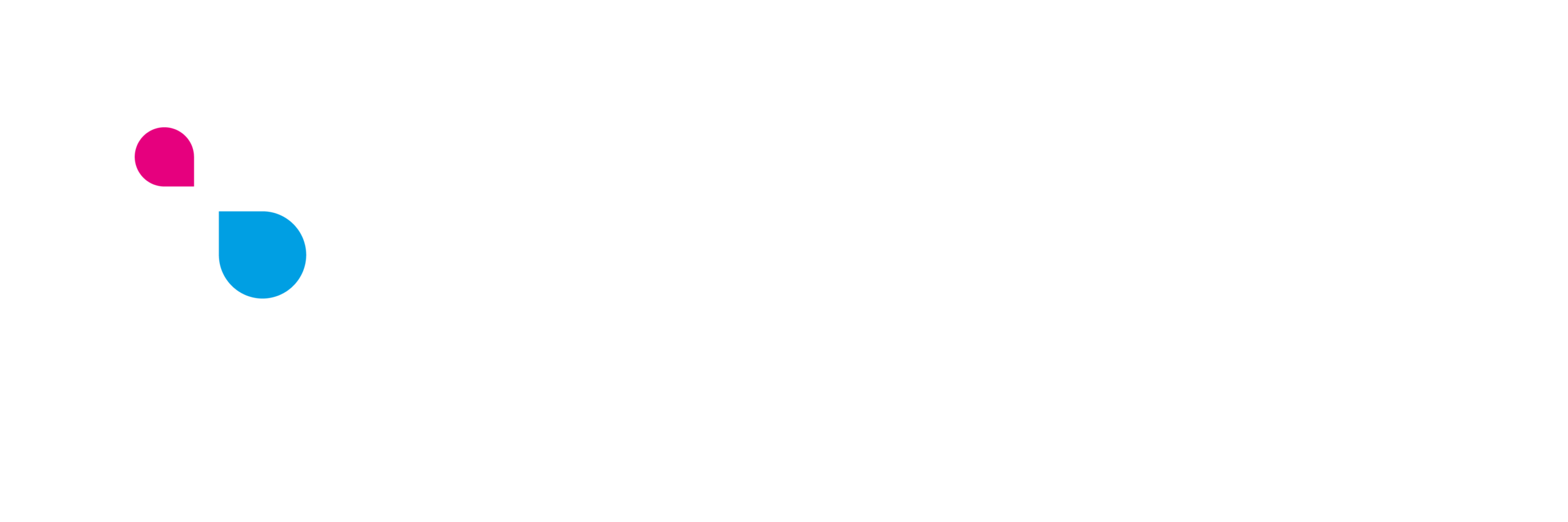 payright logo rgb white